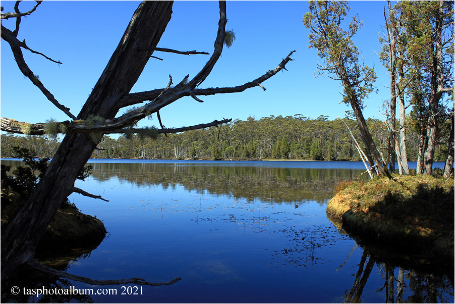 Lake McCoy